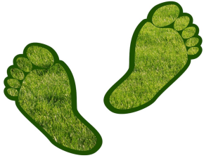 Read more about the article Garnica registers carbon footprint