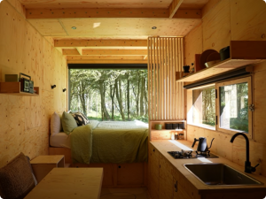 Read more about the article Plywood cabin