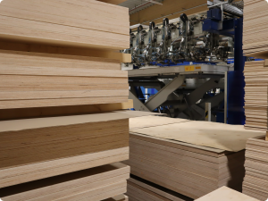 Read more about the article Consortium and Alliance battle of birch plywood
